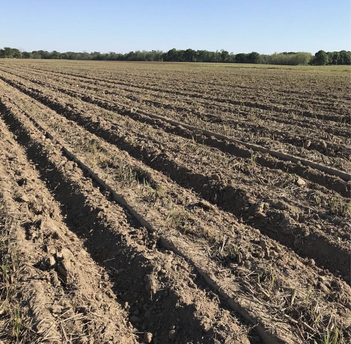 Whether its improving your current fertilizer program or developing a customized blend, Activated Carbon can allow you to grow more for a lower cost. Activated Carbon = More Profit! #farming2025 #farmprofitability #agronomy