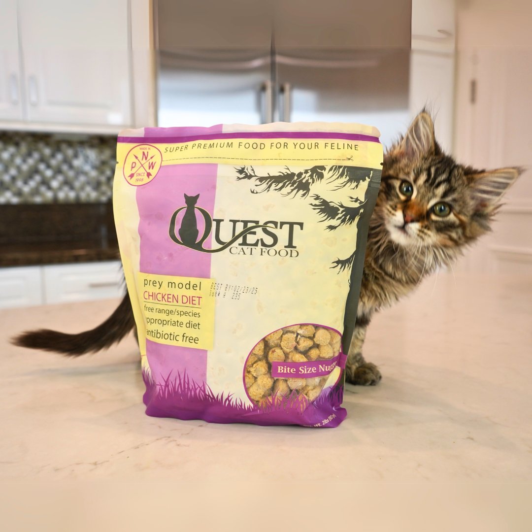 stevesrealfood's tweet image. Cats are obligate carnivores, which means they thrive on meat-based diets! 🐈💪 This #NationalCatHealthMonth give your feline friend a diet that supports their natural instincts and optimal health. 😻 Quest is a #RawCatFood from #SteveRealFood that comes in Beef, Pork, Whitef ...