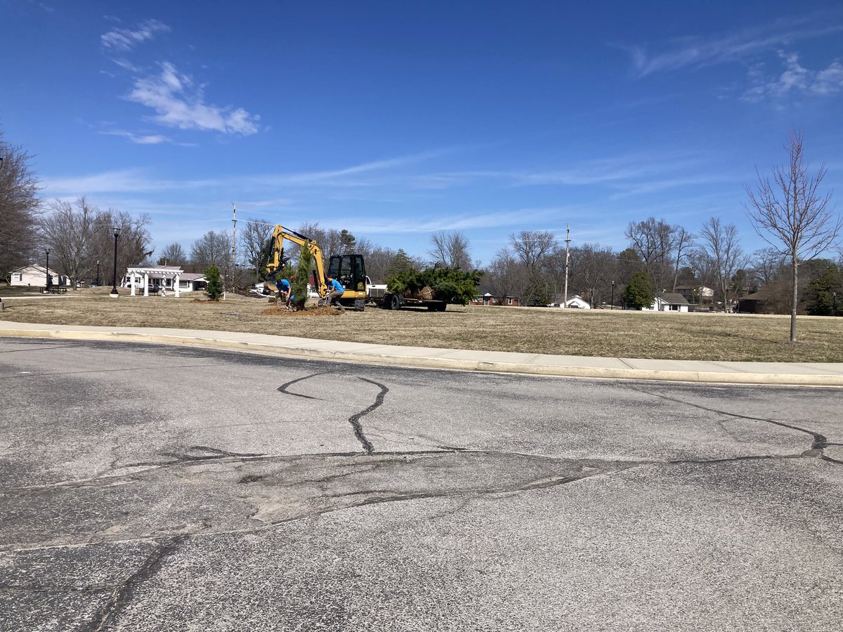 Trees going in at Walton Park