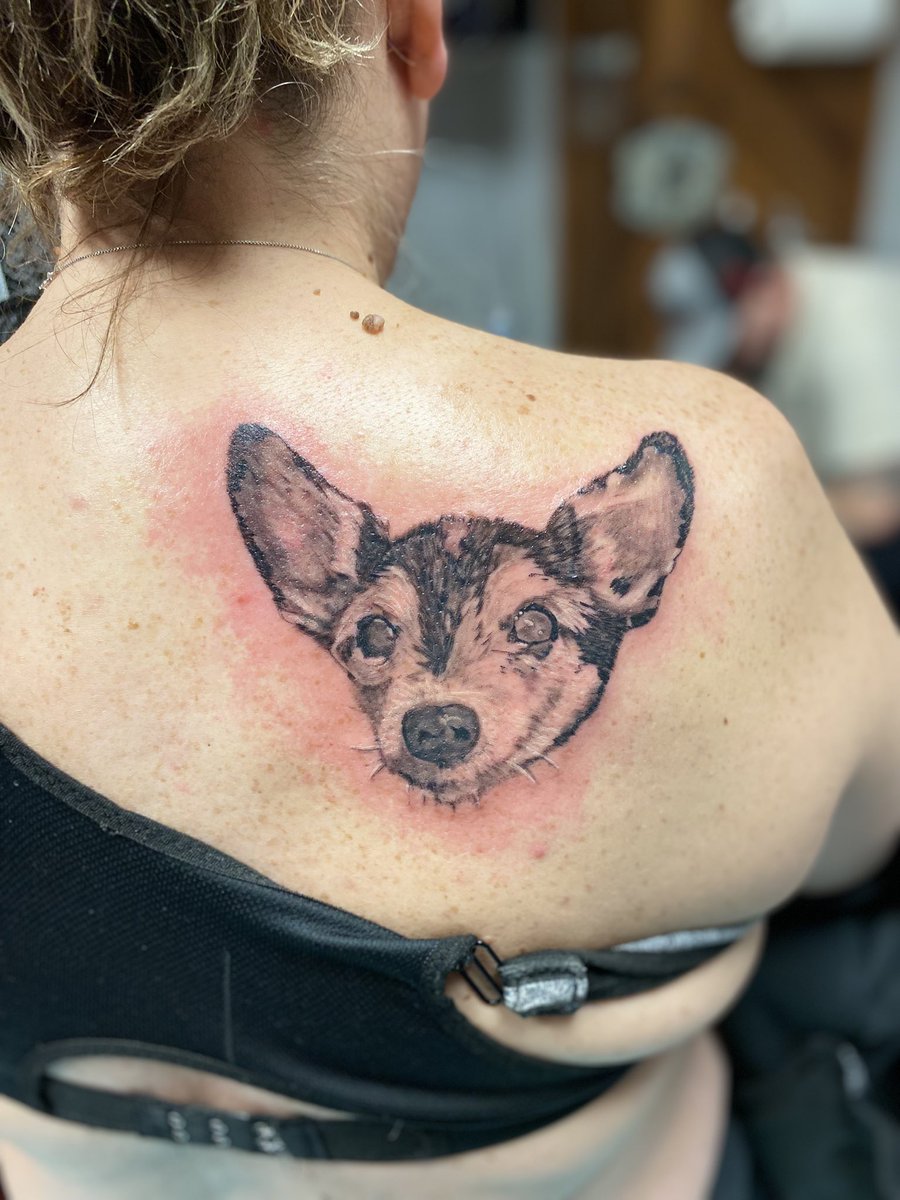 JoshuaCrisp5's tweet photo. I’m horrible about posting on here… but little puppers portrait for a client. #tattooartist  #tattooart #tattoo #twitch https://t.co/Pfkfwrx6aW