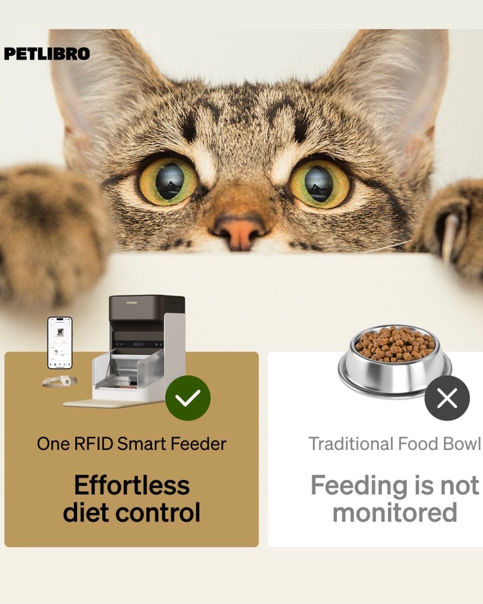 HomeSmarterUK's tweet image. Automated hands-free pet feeder? 🐱 One RFID Smart Feeder 🥣 Effortless diet control 24/7 📲 

🔗 tidd.ly/4hPbjqu (#Ad)

#petlibro #SmartPetTech #smartpetfeeder #smartcatfeeder #SmartPetProducts

@petlibro