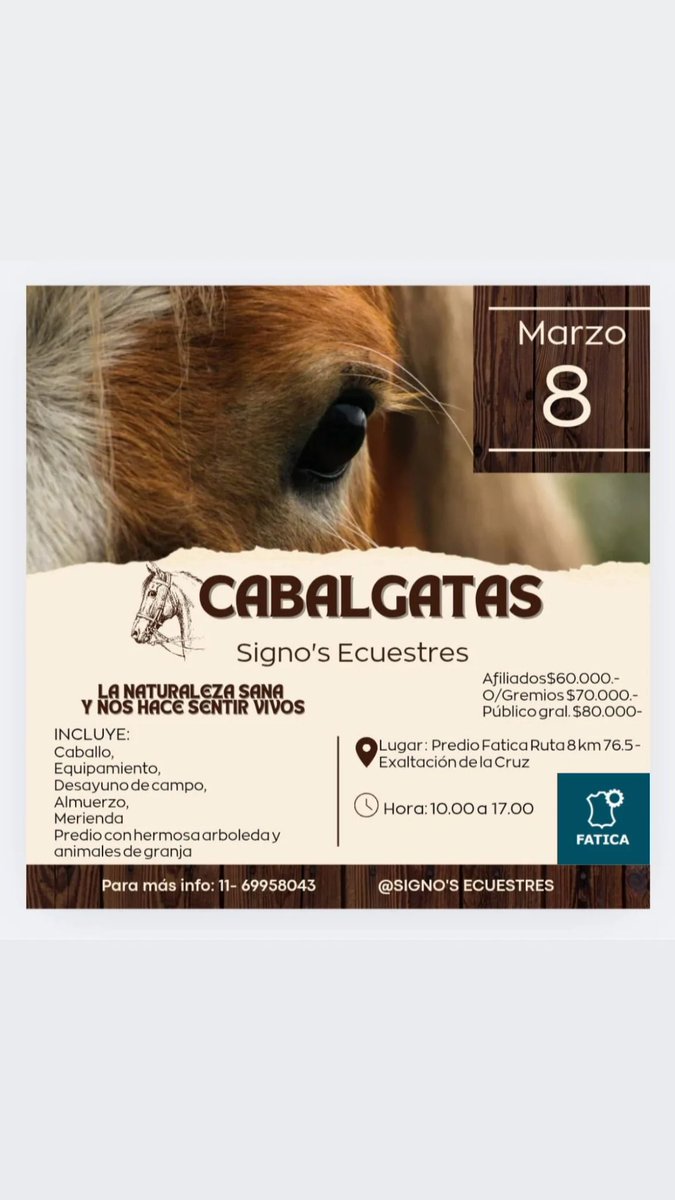 CampingFatica's tweet photo. Veni a conocernos y disfrutar de una experiencia unica.. Donde la naturaleza y la belleza equina se unen para darnos un día de campo magico 🐎✨🌿🌳
#Equinos
#Animales
#caballos
#cabalgatas
#cuidado
#refugio
#díadecampo https://t.co/BjD9wuRgg2