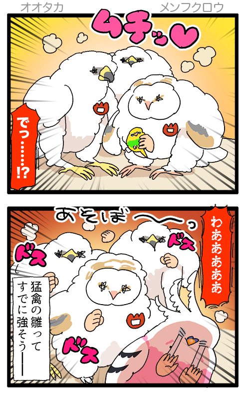 【羽やすめ漫画】羽やすめシティには猛禽類の雛たちが集まる幼稚園があるらしい🦉🐣

51 #えるポピの羽休め漫画 