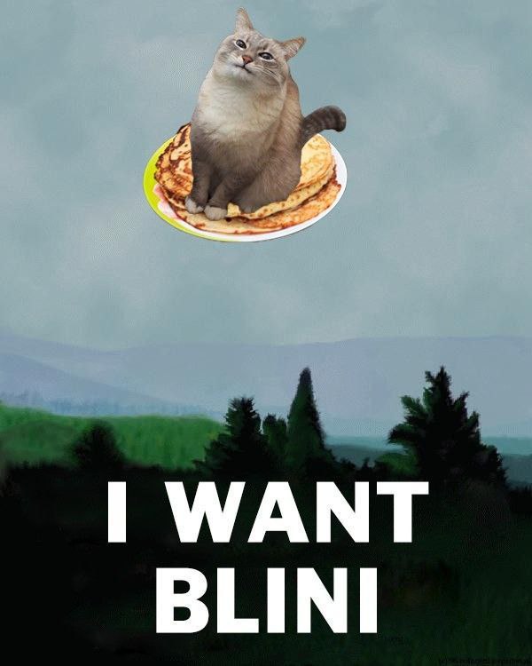 Russian Memes United (@russianmemesltd) on Twitter photo 