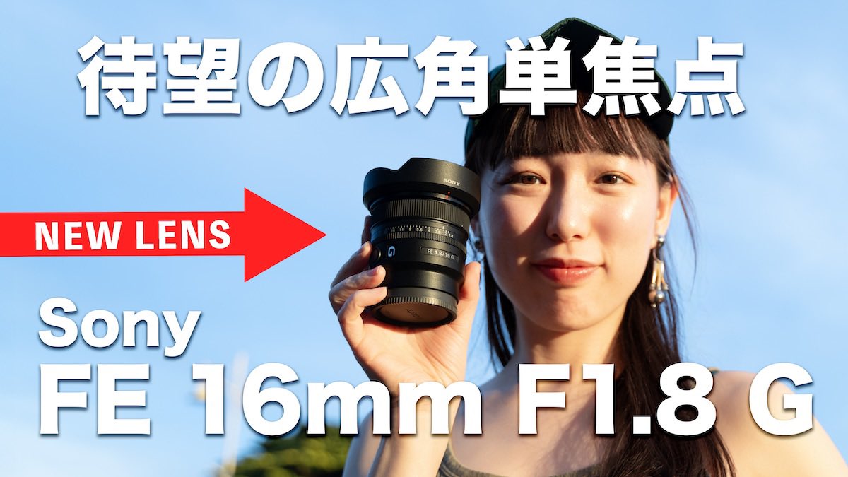 もろんのん📷photographer on X: もろんのん📷photographer on X: