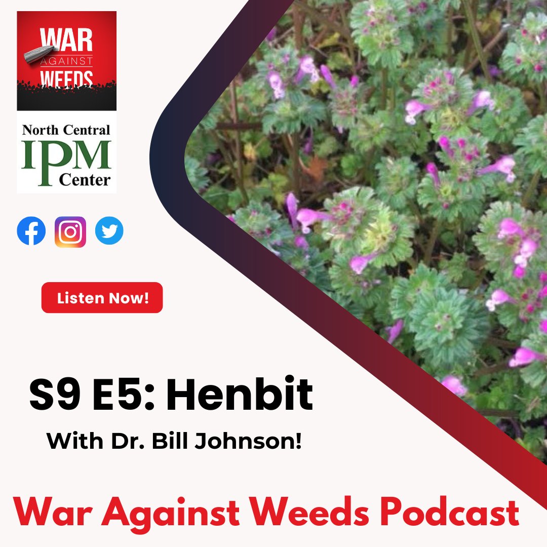 WarAgainstWeedsPodcast (@waragainstweeds) on Twitter photo This week Sarah and Joe chat with <a href="/BillJohnson53/">Bill Johnson</a> about henbit. They cover why controlling henbit is important and how to manage it in corn and soybean production. Listen now!
waragainstweeds.libsyn.com This week Sarah and Joe chat with <a href="/BillJohnson53/">Bill Johnson</a> about henbit. They cover why controlling henbit is important and how to manage it in corn and soybean production. Listen now!
waragainstweeds.libsyn.com