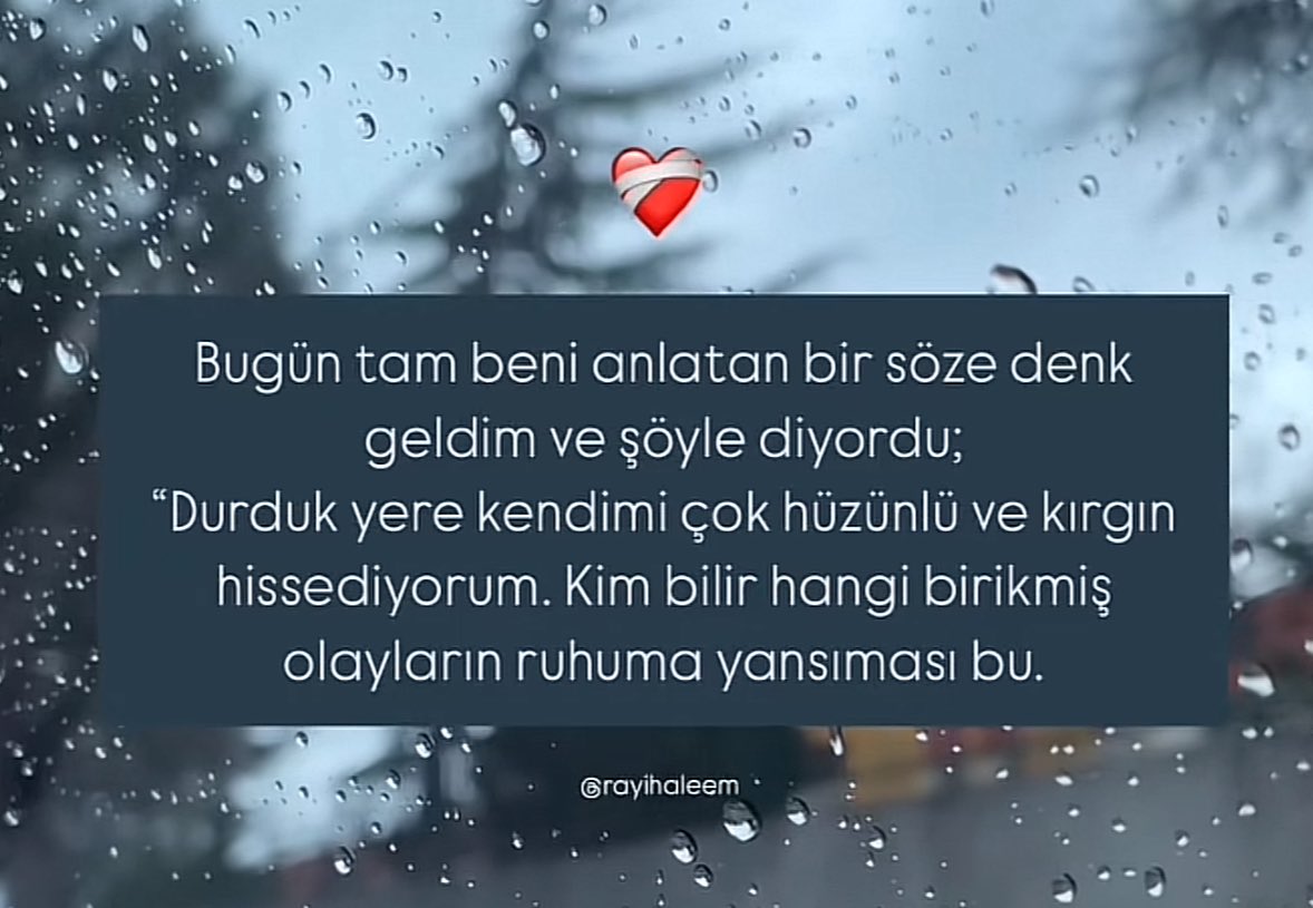 Pınar Oskay (@p_seyis72263) on Twitter photo 