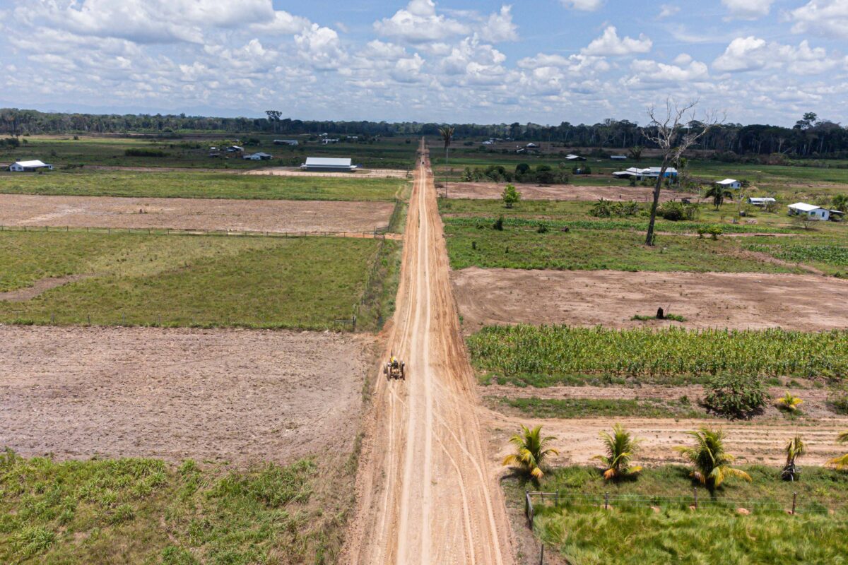Ecocentristas's tweet photo. 🧑‍🌾La huella devastadora del avance de la deforestación menonita en la selva de Perú 🇵🇪

Las colonias #menonitas de Providencia, Osterreich y Wanderland han acabado con extensas áreas de bosque denso para convertirlas en cultivos de soya, maíz, arroz y parcelas de ganado. https://t.co/4KSGx0RfKp