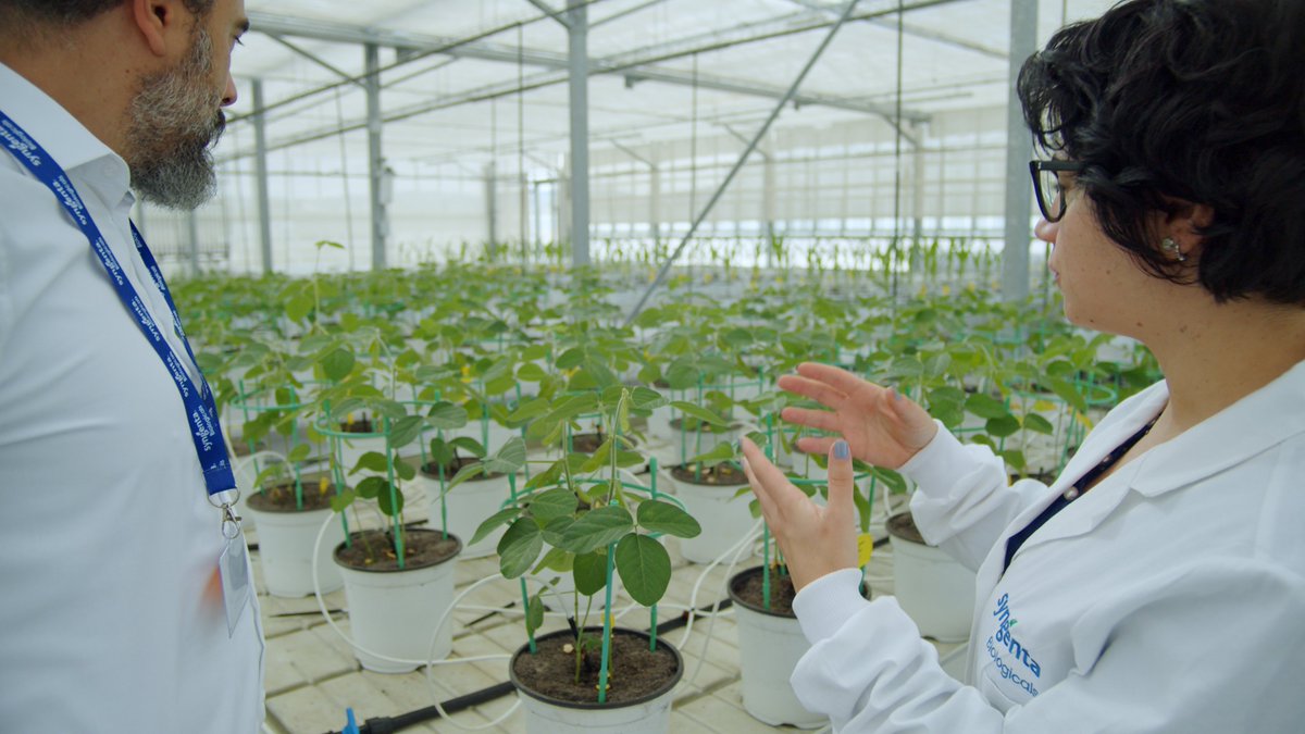 .<a href="/Syngenta/">Syngenta</a> expands biologicals research and development capabilities as it acquires the Novartis repository of natural compounds and genetic strains for agricultural use, while Novartis maintains exclusive rights to repository for pharmaceutical use: shorturl.at/jYoGm