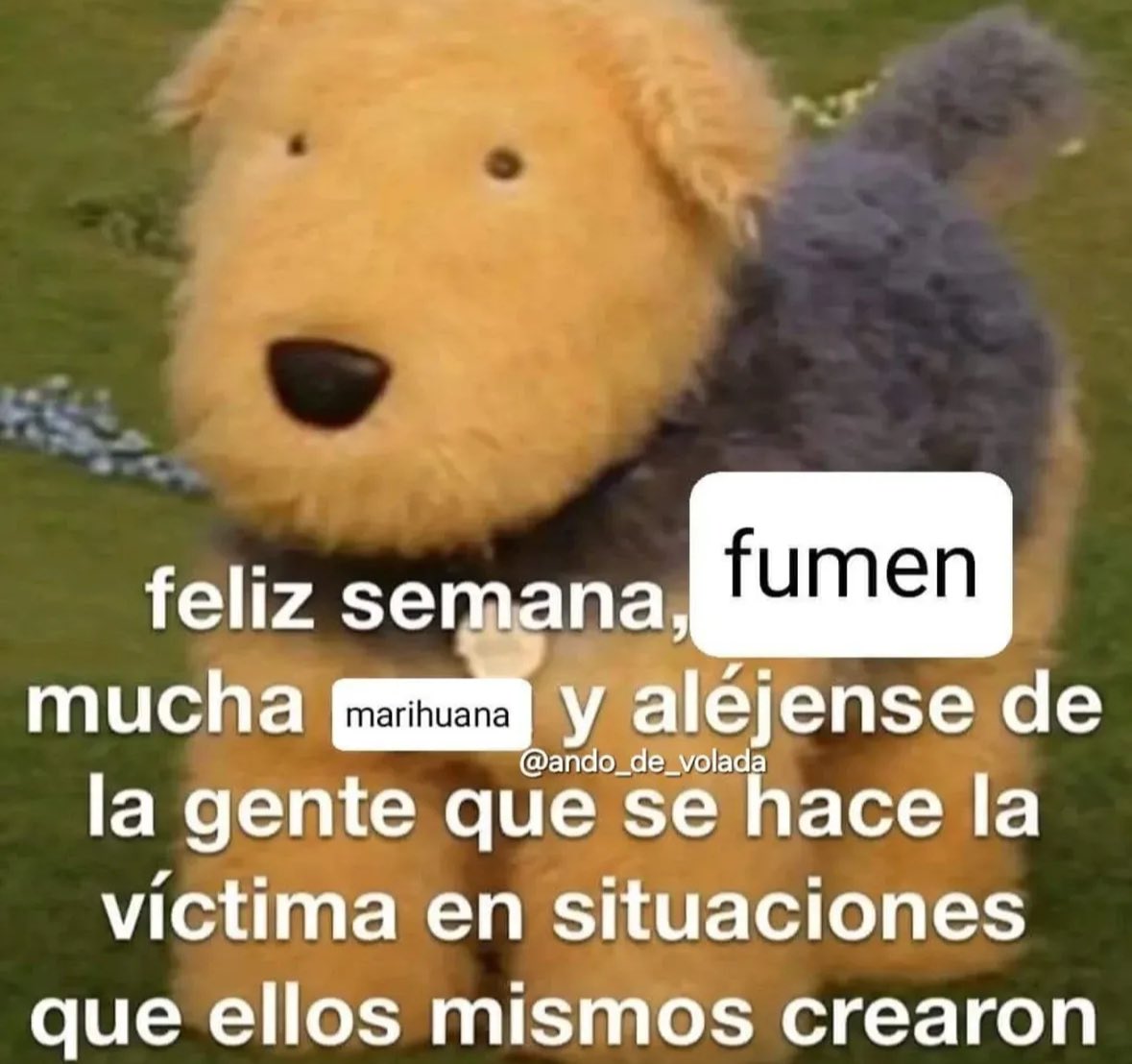 El Paragua Venenoso (@elparaguayo1231) on Twitter photo 