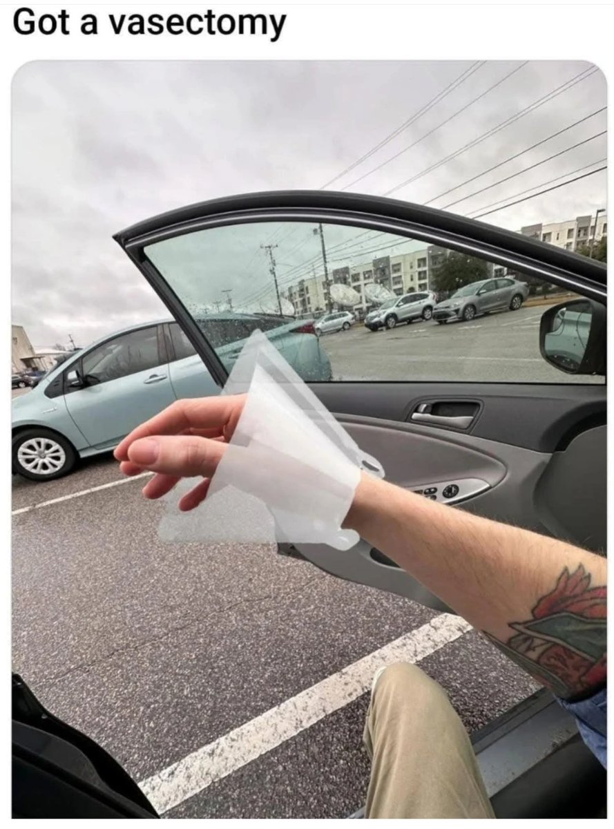 strohl_d's tweet image. 