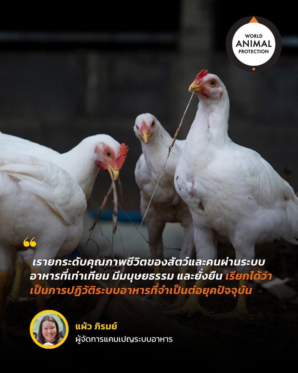 “เรายกระดับคุณภาพชีวิตของสัตว์และคนผ่านระบบอาหารที่เท่าเทียม มีมนุษยธรรม และยั่งยืน เรียกได้ว่าเป็นการปฏิวัติระบบอาหารที่จำเป็นต่อยุคปัจจุบัน”
💬 แผ้ว ภิรมย์

อ่านต่อ bit.ly/farm-champion-…