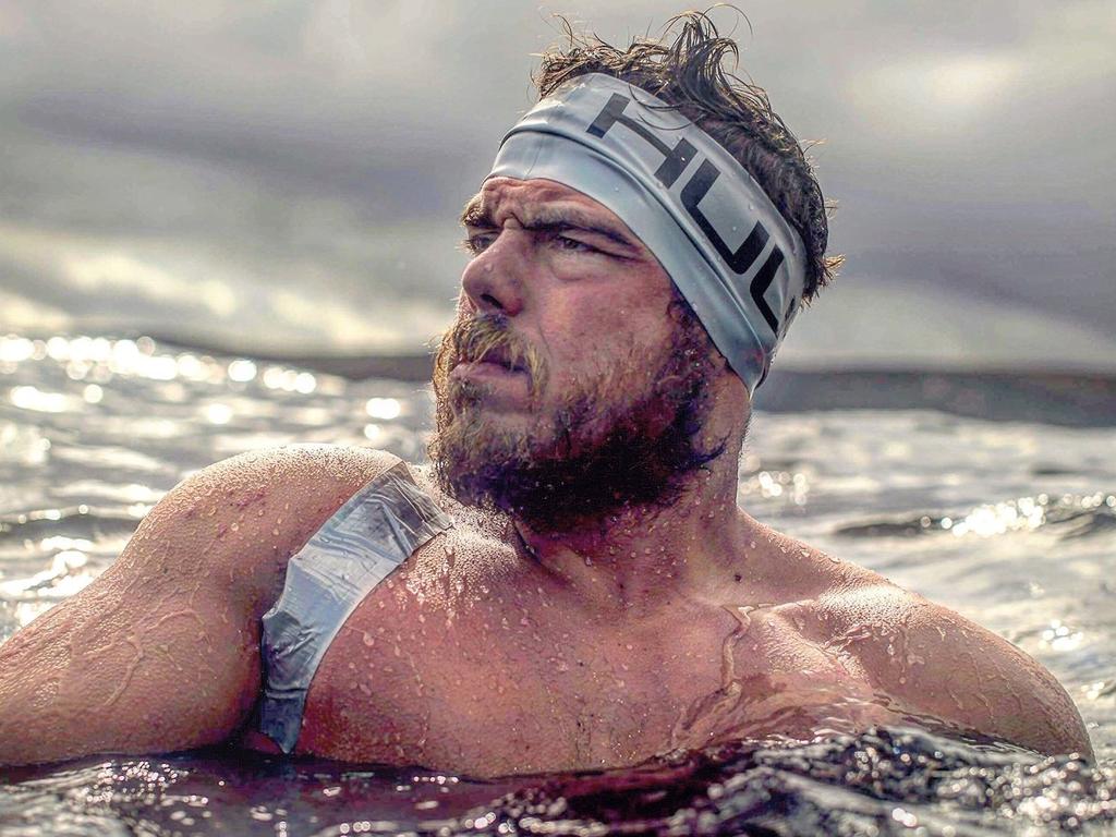 Sapiens Maximus tweet media