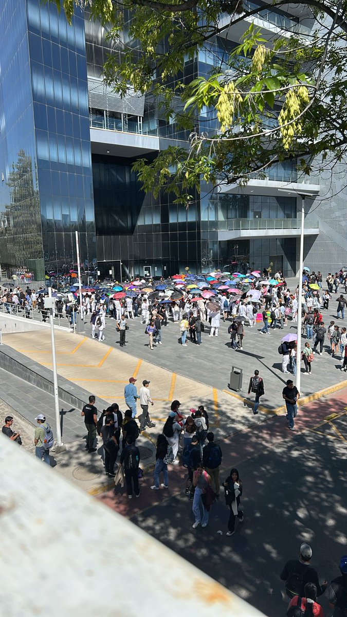 AnelePonce's tweet photo. 📢 Mega marcha universitaria BUAP 📢

Hoy, miércoles 26 de febrero, entre  9:00 y 10:00 a. m., estudiantes marcharán desde 31 Pte. y 13 Sur, recorriendo la Facultad de Medicina hasta el Zócalo y de vuelta. 

#NoticiasPuebla #BUAP #MegaMarcha #paroestudiantil #Puebla https://t.co/0SCWf8RXQE