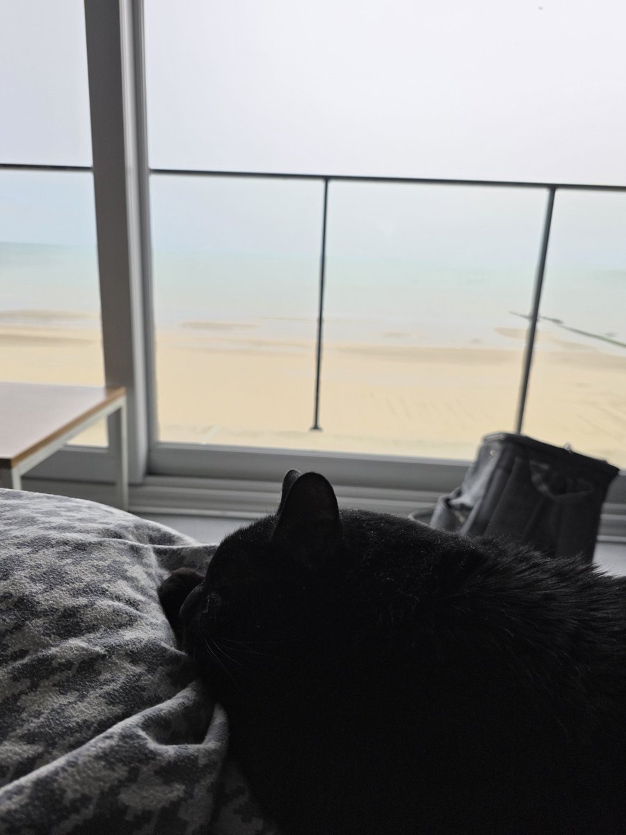 Je crois qu'on a besoin d’une pause après ces aventures ateeziennes. Quelques jours de repos et on retourne bosser.