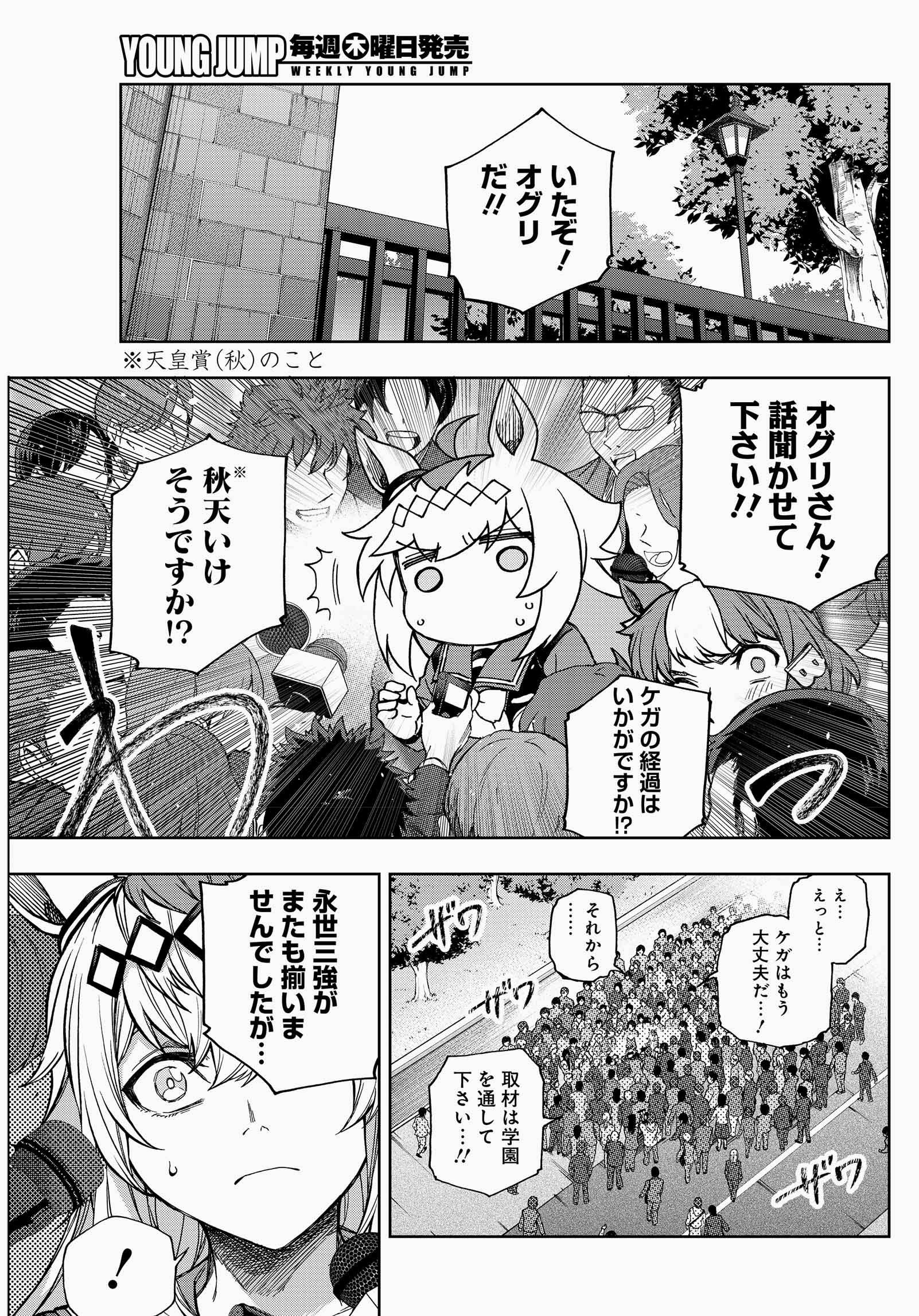 オグリキャップ 1990年天皇賞(秋)G1 単勝馬券【シンデレラグレイ】 オグリキャップ 1990年天皇賞(秋)G1 単勝馬券【シンデレラグレイ