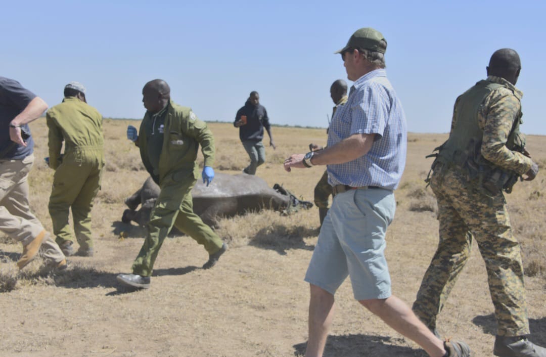 𝐂𝐨𝐧𝐬𝐞𝐫𝐯𝐚𝐭𝐢𝐨𝐧 𝐭𝐡𝐫𝐢𝐯𝐞𝐬 𝐨𝐧 𝐏𝐚𝐫𝐭𝐧𝐞𝐫𝐬𝐡𝐢𝐩𝐬! The collaboration between the Kenya Wildlife Service (KWS) and Solio Wildlife Conservancy during the recent elephant translocation exercise exemplifies the power of united efforts in safeguarding wildlife.

In