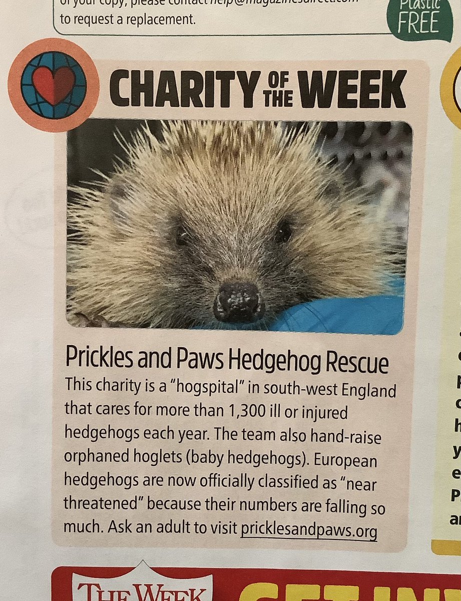 evacameron333's tweet image. @Hedgeho_lovers @bunny88369011 @daily__hedgehog @HEDGEHOGLYRICS #helpthehedgehogs