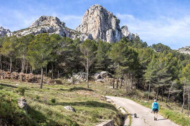 TrailExplorer tweet media