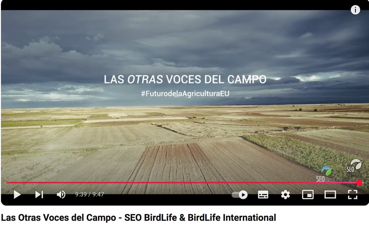 🚜Estos agricultores y ganaderos están vinculados a nuestros proyectos #MontesVivos #SecanosVivos <a href="/olivaresvivos/">LIFE Olivares Vivos+</a> <a href="/rietvell/">RietVell</a> #NatHelpers y <a href="/agroestepas/">Agroestepas Ibéricas – SEO BirdLife</a> en los que defendemos un mundo rural vivo 🌱, con oportunidades de empleo, donde las personas puedan llevar a cabo actividades