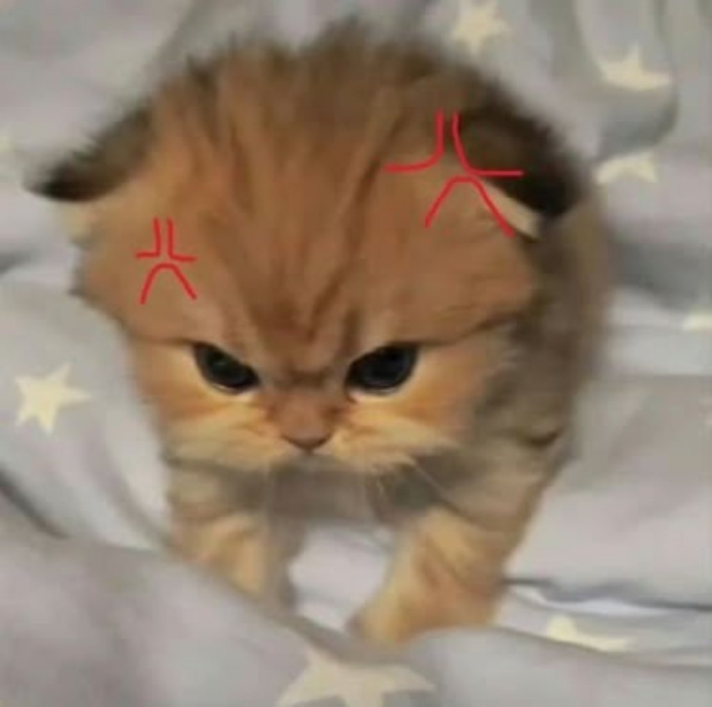 he angy