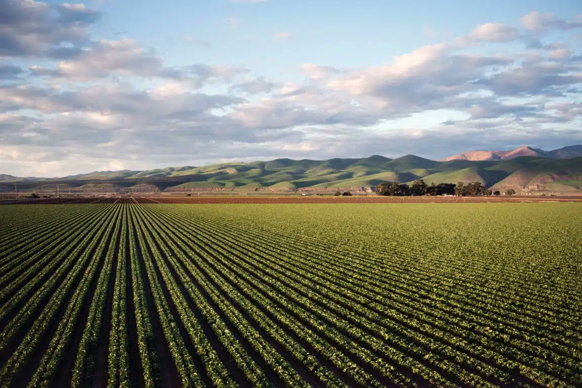 Vida Rural (@vrural) on Twitter photo El número de explotaciones agrícolas se ha reducido el 12,4% entre 2020 y 2023, situándose en 784.141. La superficie media por explotación ha crecido el 13,2%, hasta 30,46 hectáreas
Más información aquí 👇
agronegocios.es/agronegocios/n…
#Agricultura <a href="/es_INE/">INE España</a> El número de explotaciones agrícolas se ha reducido el 12,4% entre 2020 y 2023, situándose en 784.141. La superficie media por explotación ha crecido el 13,2%, hasta 30,46 hectáreas
Más información aquí 👇
agronegocios.es/agronegocios/n…
#Agricultura <a href="/es_INE/">INE España</a>