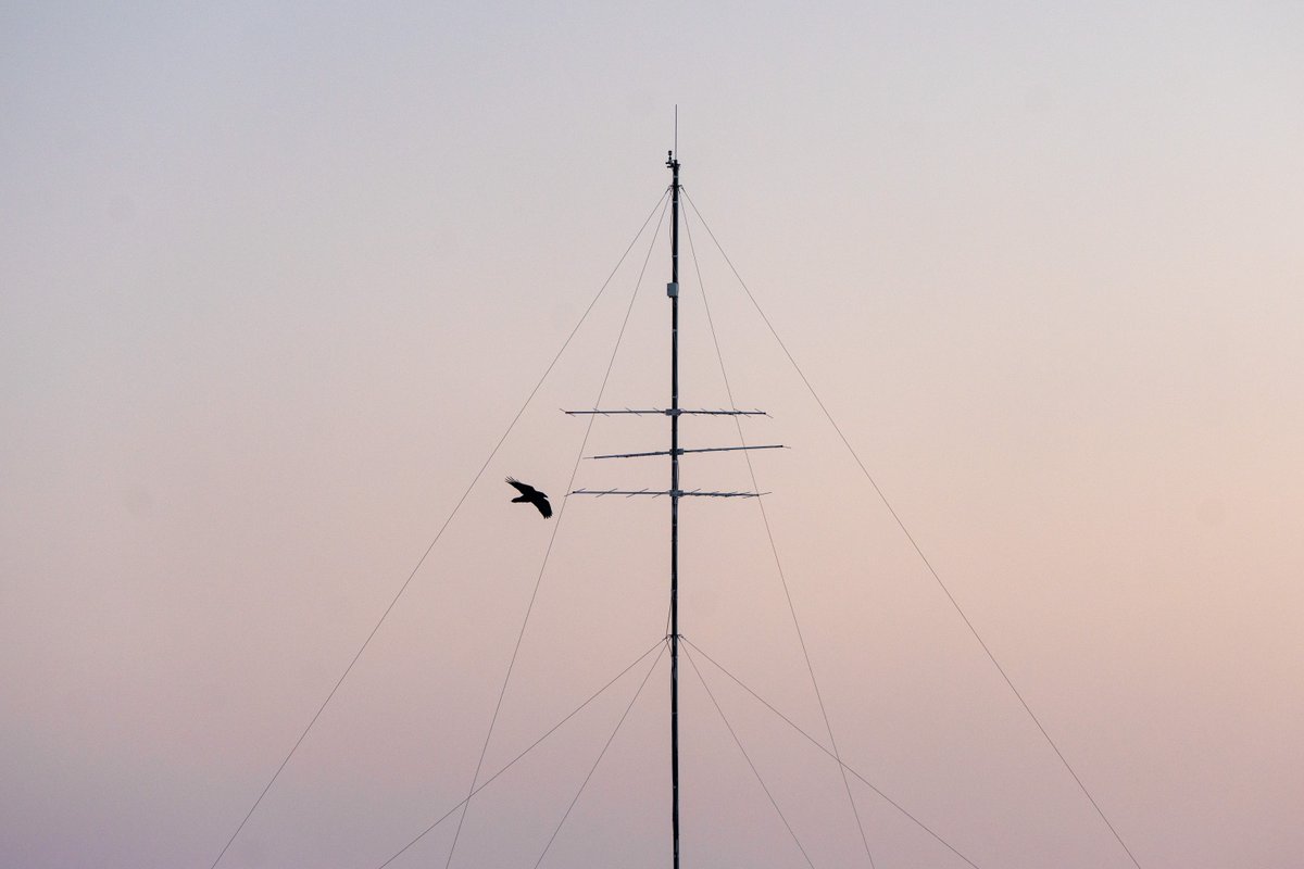 Échos de l’Arctique: la télédétection Fait saillant #6 Motus est un réseau de recherche collaboratif qui suit les déplacements de la faune à des fins de conservation. La SCREA abrite la station la plus septentrionale du réseau, en plus de deux autres stations actives au Nunavut.