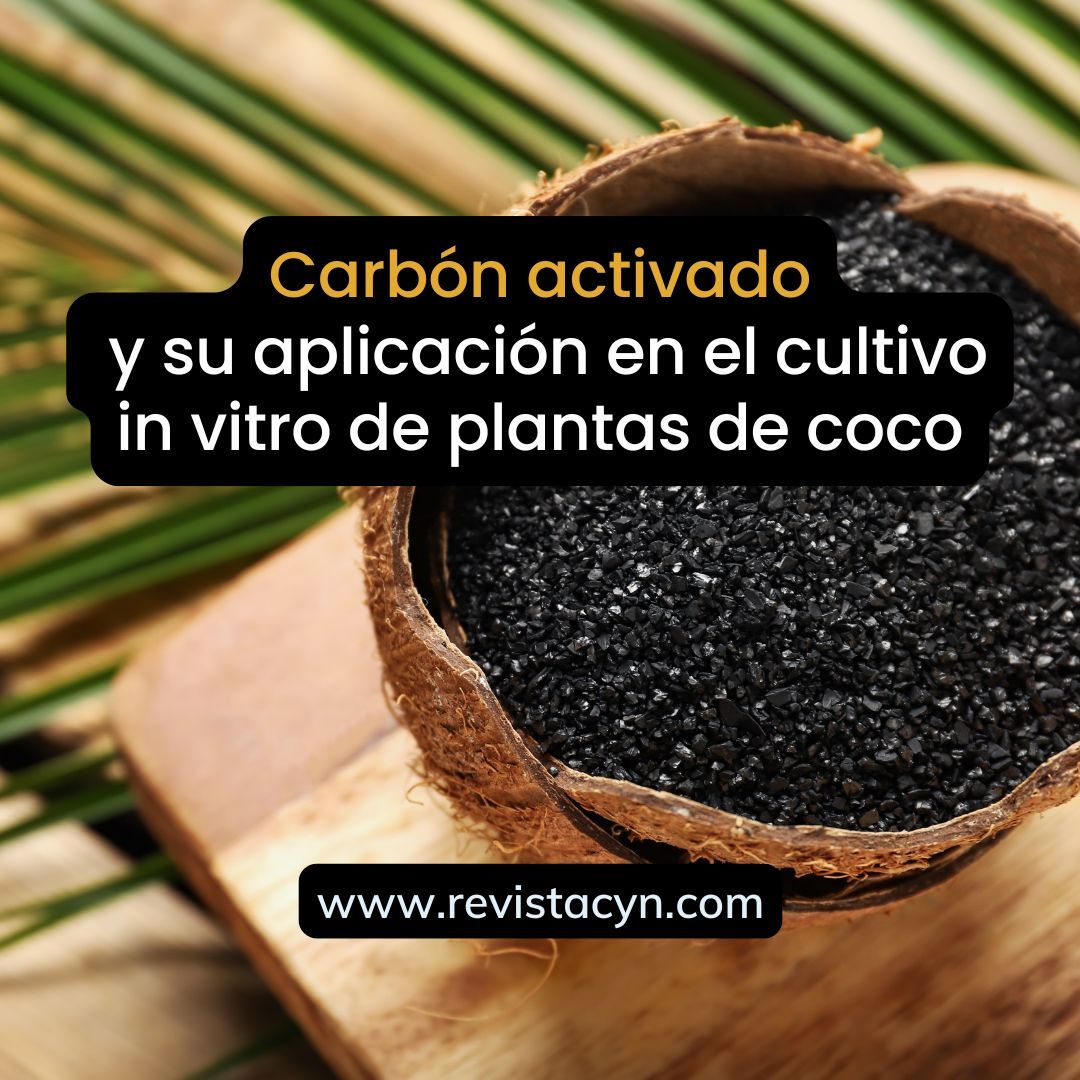 Revista_CyN's tweet photo. 🌱💚 El carbón activado, hecho de hojas de coco desechadas, no solo ayuda a cultivar plantas en laboratorios, sino que también protege el medio ambiente. ♻️✨ 
 Revista 🚀 Ciencia y Naturaleza 🍀
 #RevistaCyN #Divulgación #Leer+
👉 https://t.co/DUCyw30o9D https://t.co/ClBDWJ7Cgv