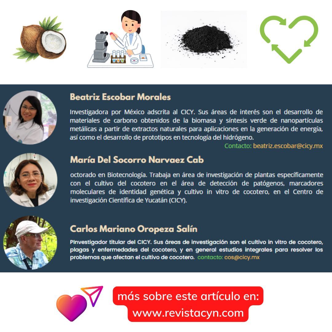 Revista_CyN's tweet photo. 🌱💚 El carbón activado, hecho de hojas de coco desechadas, no solo ayuda a cultivar plantas en laboratorios, sino que también protege el medio ambiente. ♻️✨ 
 Revista 🚀 Ciencia y Naturaleza 🍀
 #RevistaCyN #Divulgación #Leer+
👉 https://t.co/DUCyw30o9D https://t.co/ClBDWJ7Cgv
