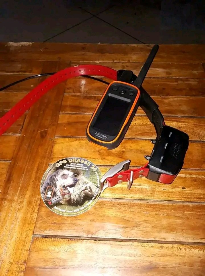 GarminAlphaFr's tweet image. 450€
Alpha 100 fR avec collier TT15 Reconditionné 
Garantie 18 mois avec tout les accessoires chargeur, antenne, carte v6