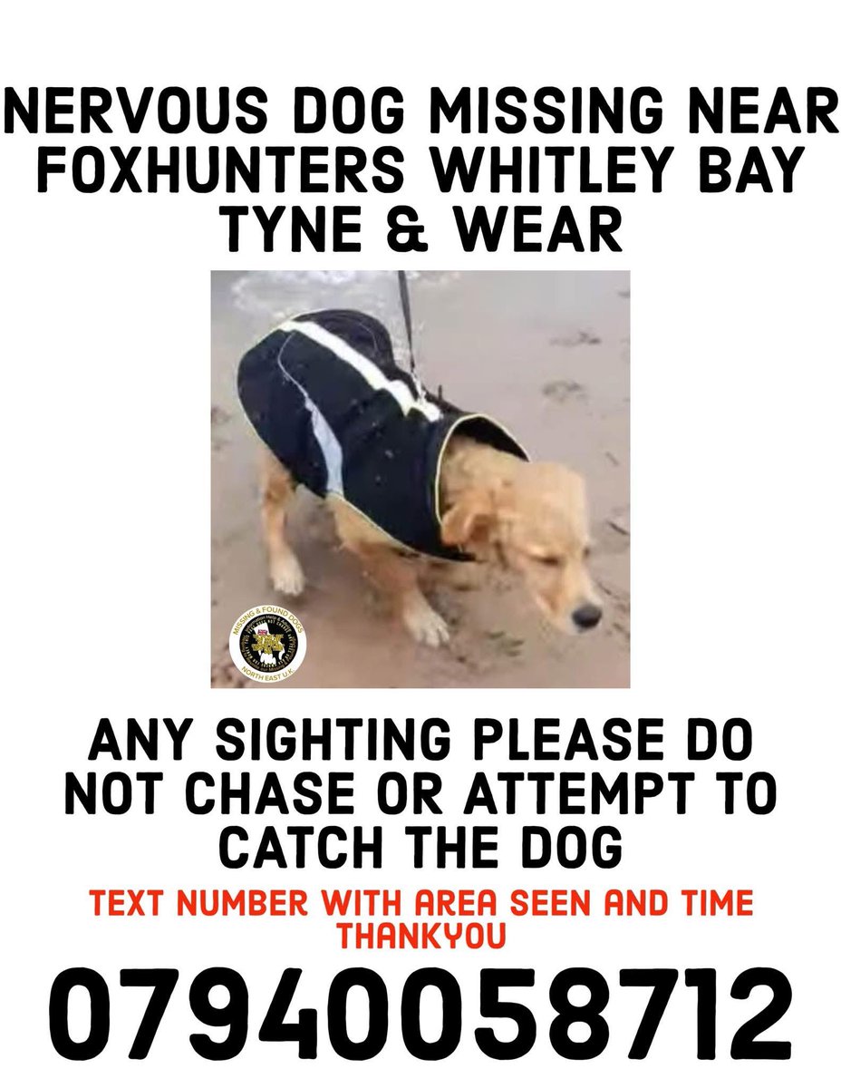 joannew0112's tweet image. NERVOUS DOG MISSING NEAR FOXHUNTERS WHITLEY BAY TYNE &amp;amp; WEAR 

This dog has gone missing this afternoon around 2pm Tuesday (25.2.25) very nervous and is running away when approached. Please contact number in poster with any info
🛑 PLEASE DO NOT CHASE OR CALL IF SEEN PLS  📞 🛑
