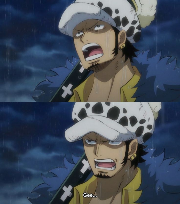 daily_trafalgar's tweet image. 