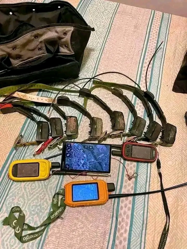 GarminAlphaFr's tweet image. Bonjour la team🇧🇪🇫🇷 je mets en vente mes produits garmin tt15 et alpha 100 et 200. Il sont disponibles au meilleur prix. Je les vends séparément.
#Chasse 
#Chasseurchiens