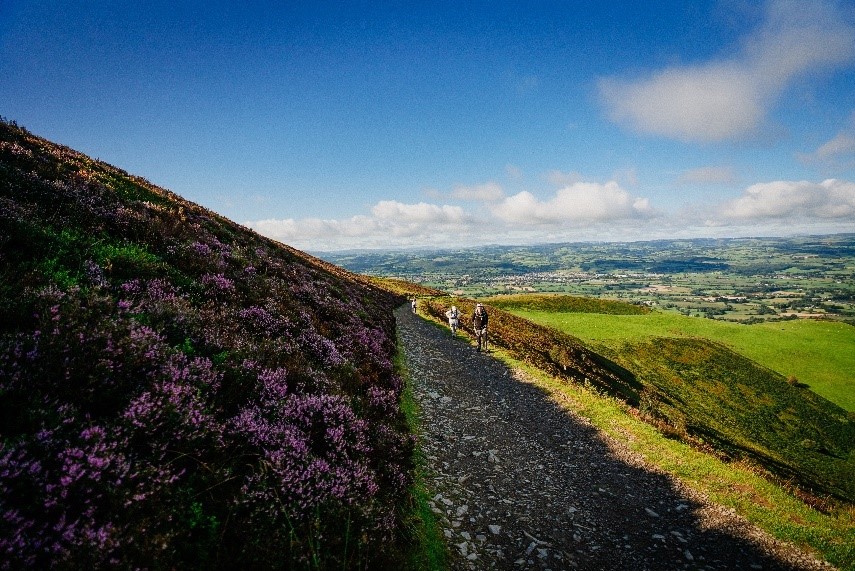 Offa's Dyke Path National Trail tweet media