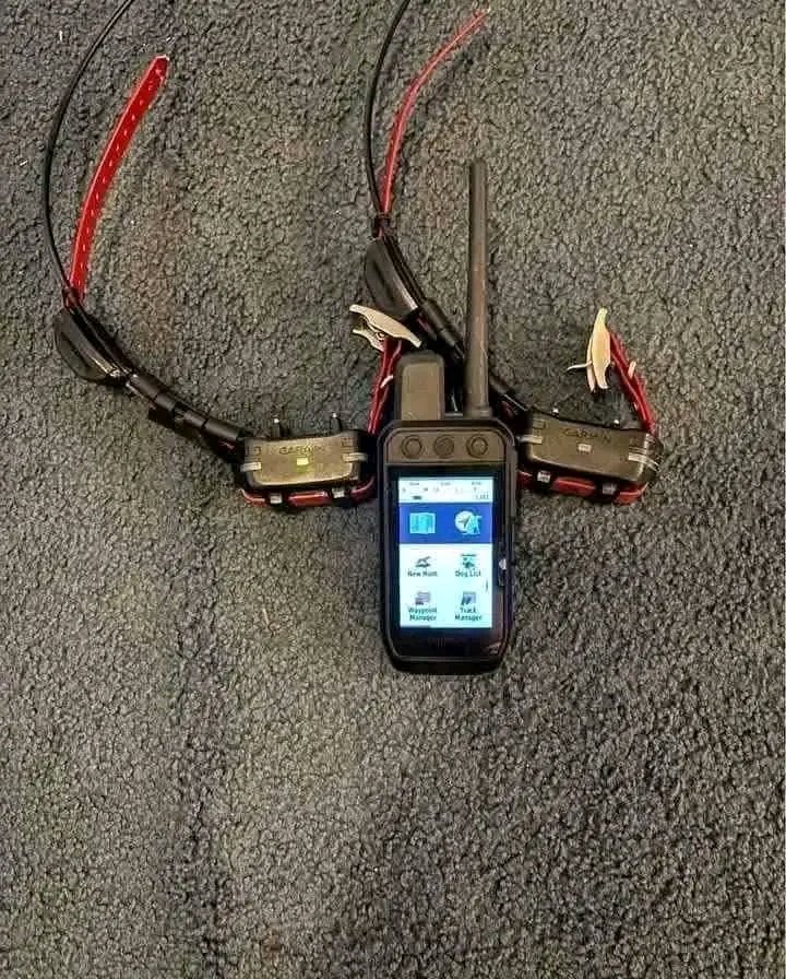 GarminAlphaFr's tweet image. Garmin alpha 200i portable avec 2 tt 15 mini colliers fonctionne comme il se doit 600 €