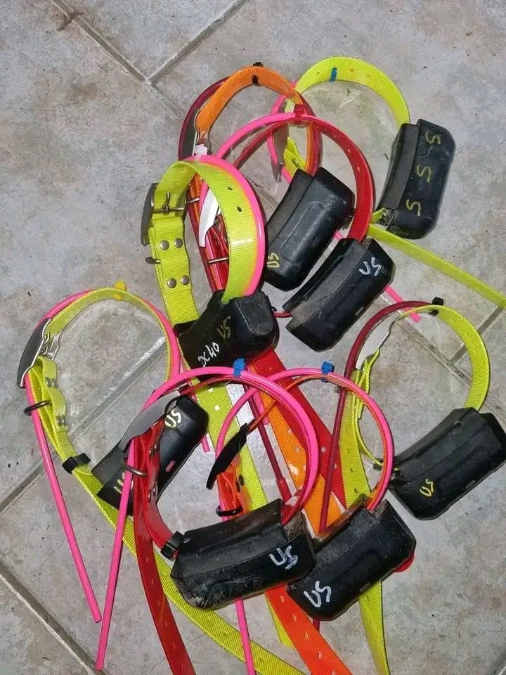 GarminAlphaFr's tweet image. 120€ le collier 
Dc40 us 
Garantie un an