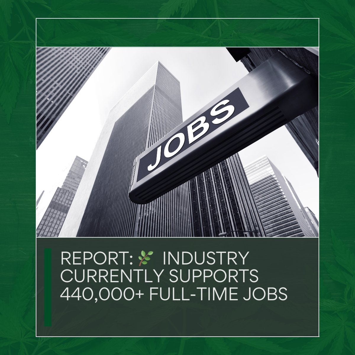 wrightedmaster's tweet image. Thankful for Deeper Learning. It was at a conference that I was inspired to build generational wealth for The Wrights. I was inspired by students taking the necessary steps to build their own business. Earning my Cannabusiness. #allthesmoke 
#weare38thky
#plantoverpillskentucky