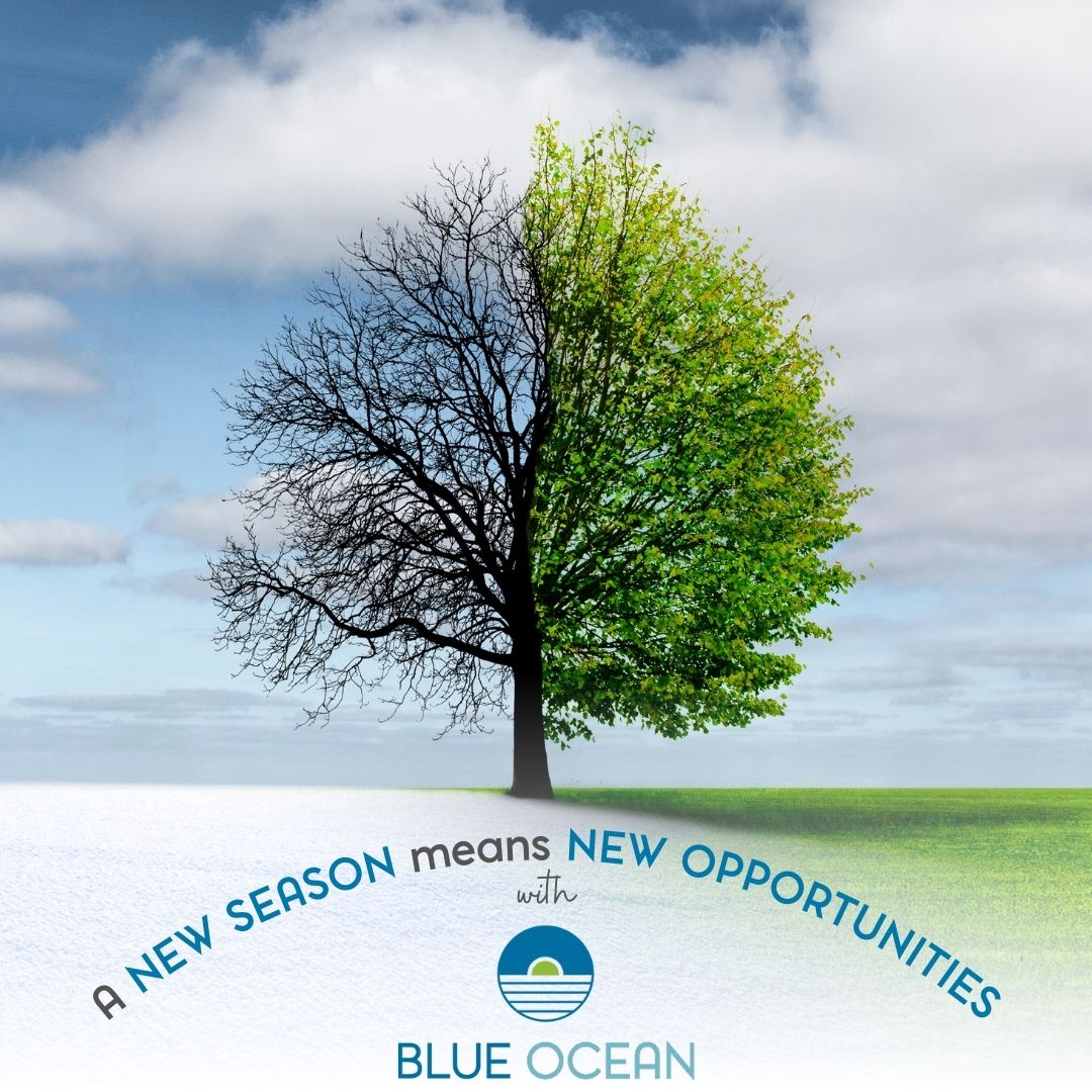 Change can be challenging but it also presents an opportunity to enhance sustainability, safety, &amp; operational efficiency. Read on to see how Blue Ocean makes it easy to transition from traditional liquid chemistries to solid water treatment solutions... linkedin.com/pulse/embracin…
