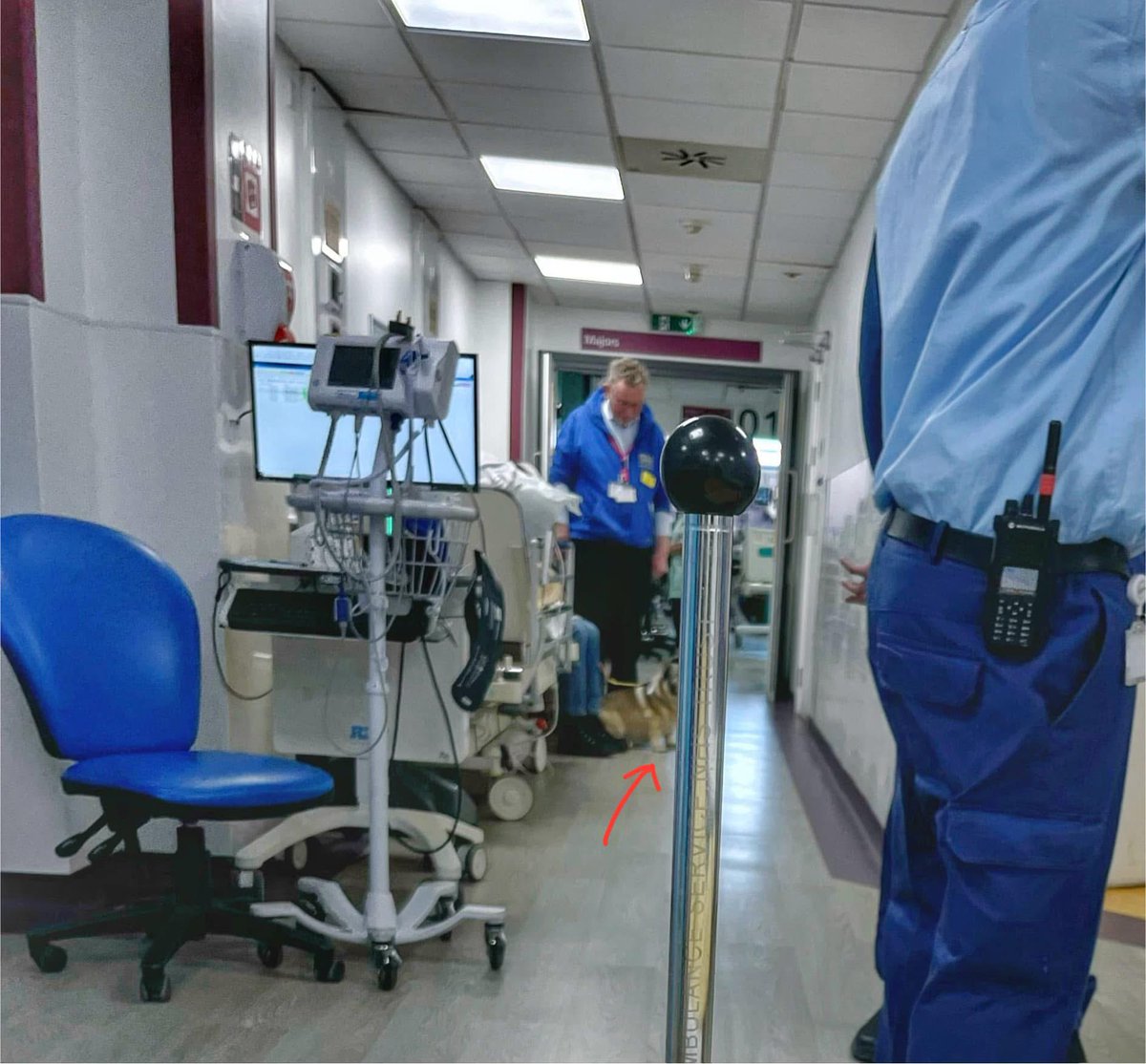 In the 36 hours I spent in A &amp; E last week, I didn’t meet a single nurse who had heard of #ME, let alone know anything about it. Same with 3/5 doctors i met. None were aware that light/sound/being forced 2sit up R extremely dangerous to those with #SevereME. 
#MyalgicE
#LC