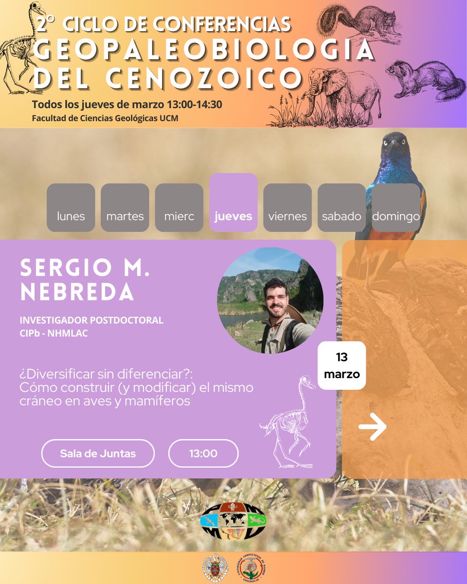PMMV (@_pmmv_) on Twitter photo Esta semana <a href="/smnebreda/">Sergio M. Nebreda</a> continua el 2º ciclo de conferencias sobre "Geopaleobiología del Cenozoico" con sus estudios sobre la evolución del cráneo de aves y mamíferos
El próximo jueves en la Facultad de <a href="/geologicasUCM/">Facultad de Ciencias Geológicas</a> Esta semana <a href="/smnebreda/">Sergio M. Nebreda</a> continua el 2º ciclo de conferencias sobre "Geopaleobiología del Cenozoico" con sus estudios sobre la evolución del cráneo de aves y mamíferos
El próximo jueves en la Facultad de <a href="/geologicasUCM/">Facultad de Ciencias Geológicas</a>