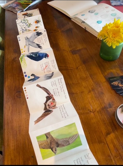 Interesting and informative morning at Lancashire Tourism Award-winner - Eight at Gazegill, for the launch of the Discover Bowland Guide. Excellent updates on key events and initiatives for <a href="/forestofbowland/">Forest of Bowland National Landscape</a> as well as insights from Outdooractive and Lancashire Lad. 
#Lancashire