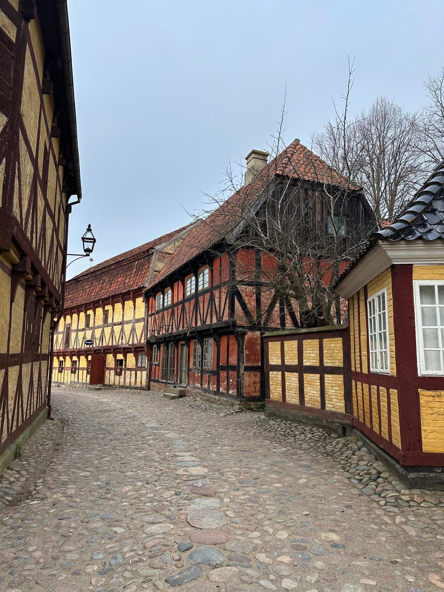 DrMicrobiome's tweet image. Some down time to explore Aarhus old town Denmark 🇩🇰