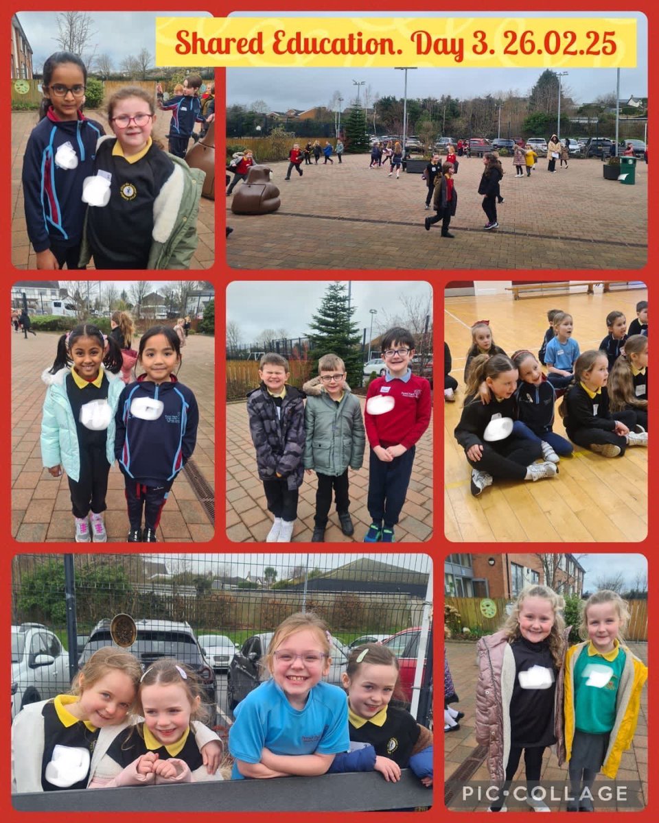pondparkp3's tweet photo. Another fantastic day spent with our friends from @ctrps1 and @OakwoodIPS  for Shared Education. Today we were talking about our emotions and feelings. https://t.co/gJhszDqxlY
