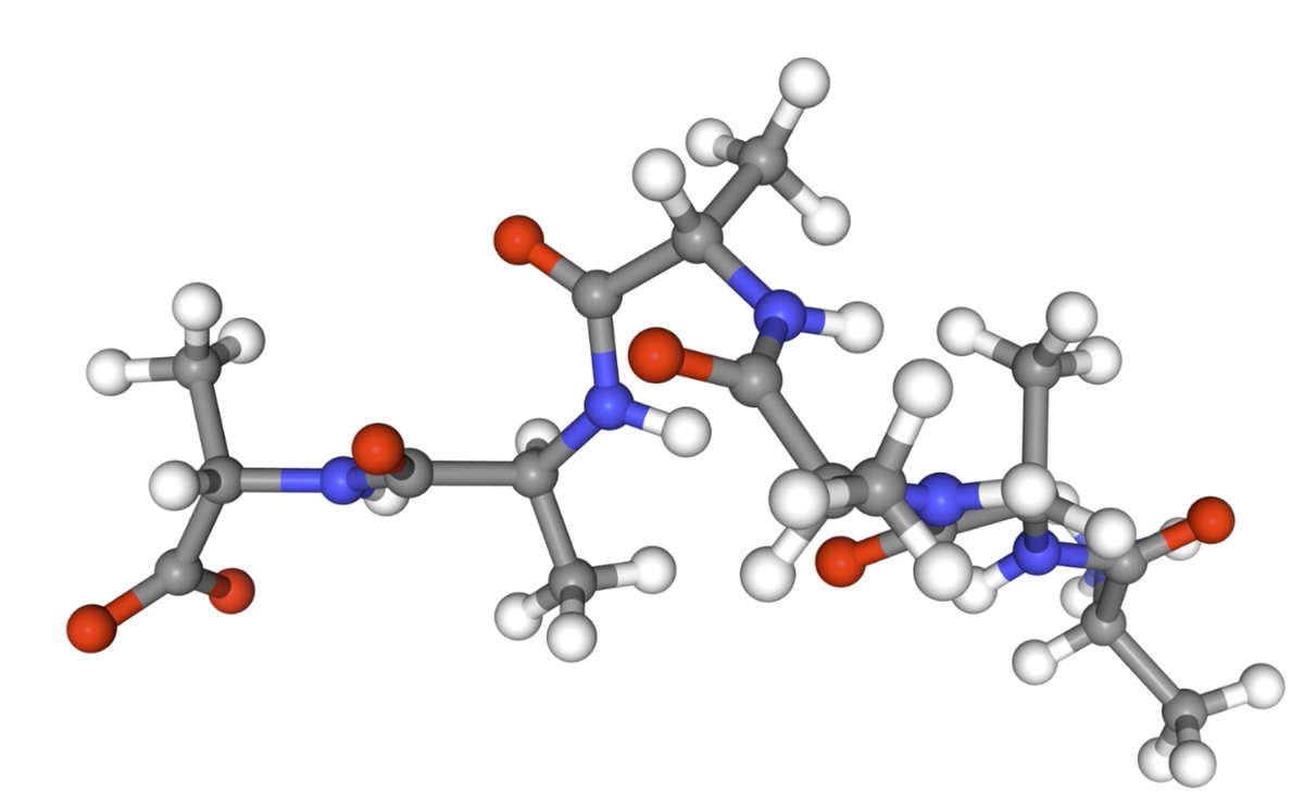 charliebtan (@charliebtan) on Twitter photo New preprint! 🚨 We scale equilibrium sampling to hexapeptide (in cartesian coordinates!) with Sequential Boltzmann generators! 📈 🤯
Work with <a href="/bose_joey/">Joey Bose</a>, <a href="/WillLin1028/">Chen Lin</a>, <a href="/leonklein26/">Leon Klein</a>, <a href="/mmbronstein/">Michael Bronstein</a> and <a href="/AlexanderTong7/">Alex Tong</a>
Thread 🧵 1/11 New preprint! 🚨 We scale equilibrium sampling to hexapeptide (in cartesian coordinates!) with Sequential Boltzmann generators! 📈 🤯
Work with <a href="/bose_joey/">Joey Bose</a>, <a href="/WillLin1028/">Chen Lin</a>, <a href="/leonklein26/">Leon Klein</a>, <a href="/mmbronstein/">Michael Bronstein</a> and <a href="/AlexanderTong7/">Alex Tong</a>
Thread 🧵 1/11