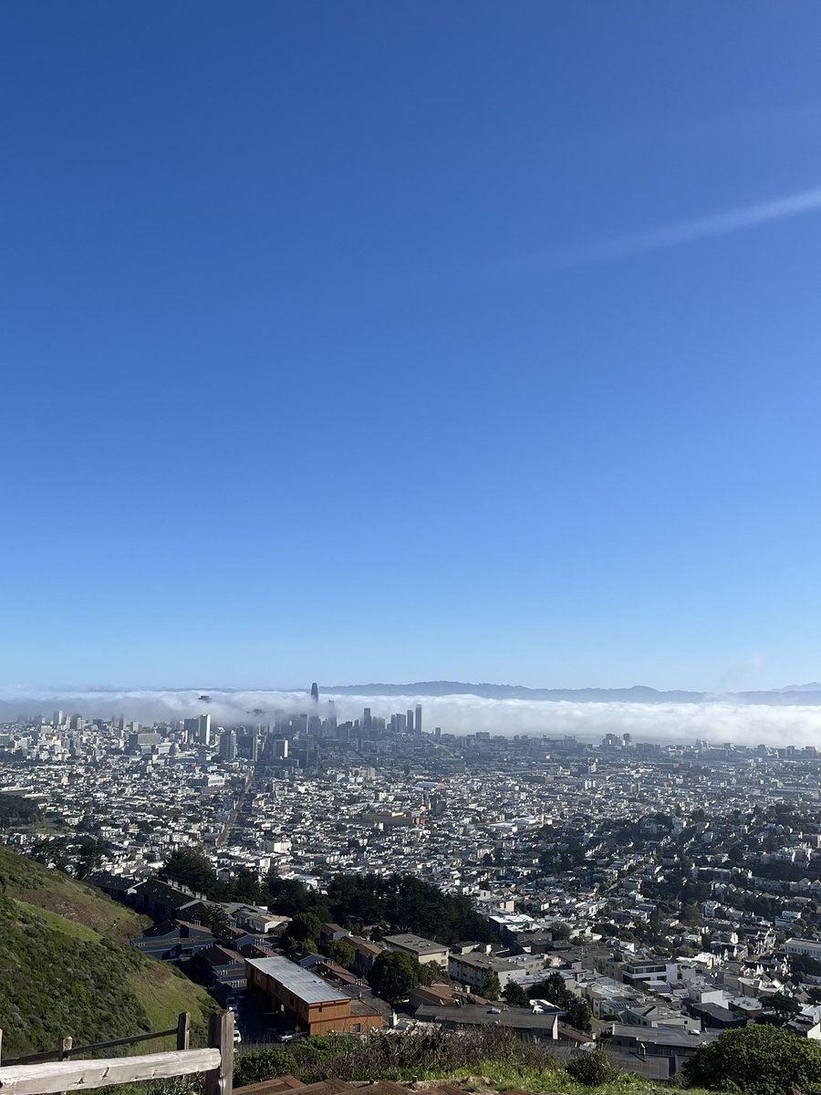 8am hikes in SF 🌁 w <a href="/aolabsai/">AOLabs</a>