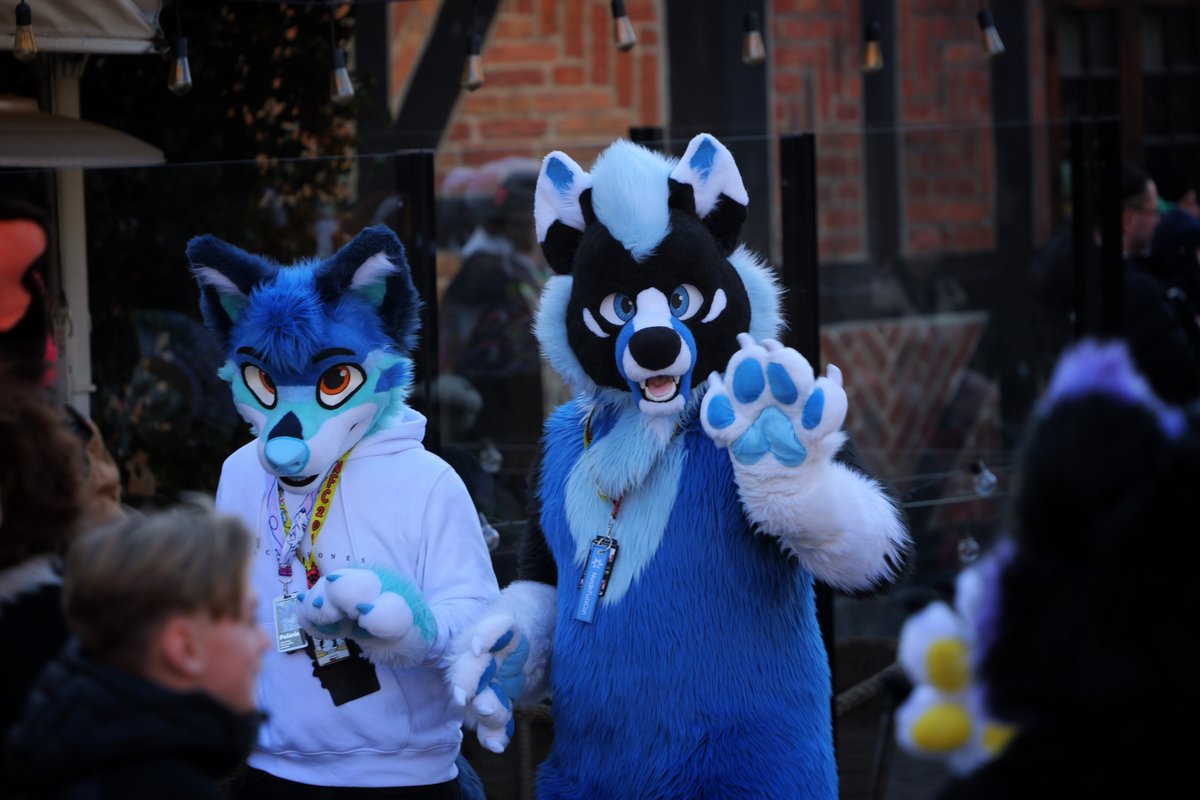 BoredSab_'s tweet photo. And even more more more photos!

Cute suits:
@LiminKitty  
@Ludra_ 
@Legiarrd  
@LunariFox 

#nordicfuzzcon #NFC #NFC2025 #furry #furries #furryconvention #fursuit #fursuits https://t.co/U3MeXNpk8h