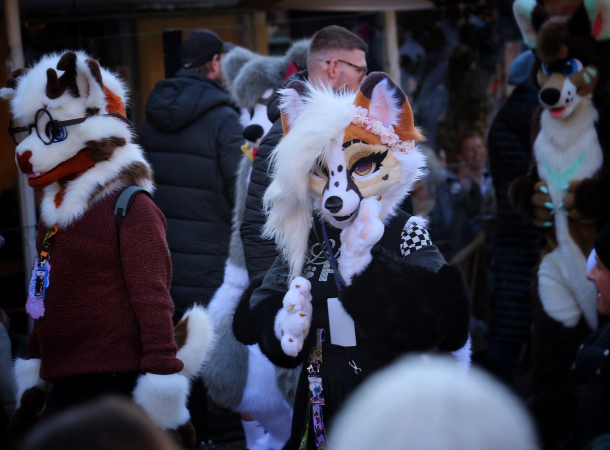 BoredSab_'s tweet photo. And even more more more photos!

Cute suits:
@LiminKitty  
@Ludra_ 
@Legiarrd  
@LunariFox 

#nordicfuzzcon #NFC #NFC2025 #furry #furries #furryconvention #fursuit #fursuits https://t.co/U3MeXNpk8h