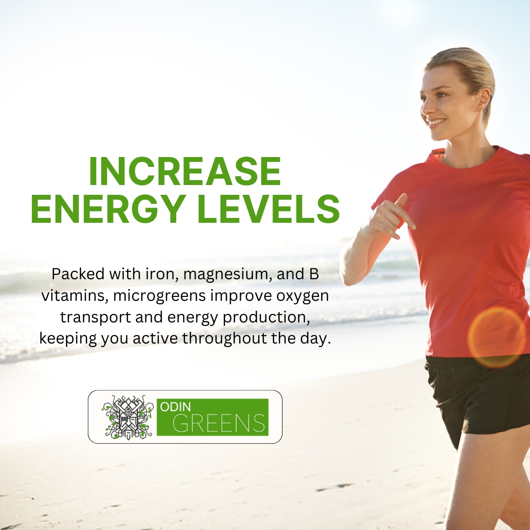 odingreens's tweet photo. Packed with iron, magnesium, and B vitamins, microgreens help improve oxygen transport and energy production, keeping you feeling active throughout the day. 

Get your supply today and feel the difference! https://t.co/iFhe8vyIc1