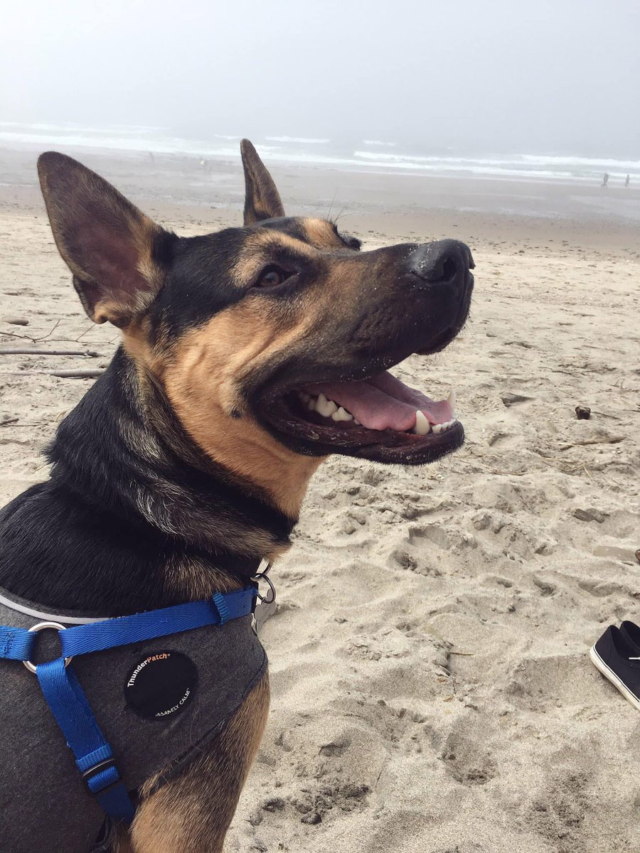 Life is so unfair sometimes. 
I miss my dog 💔