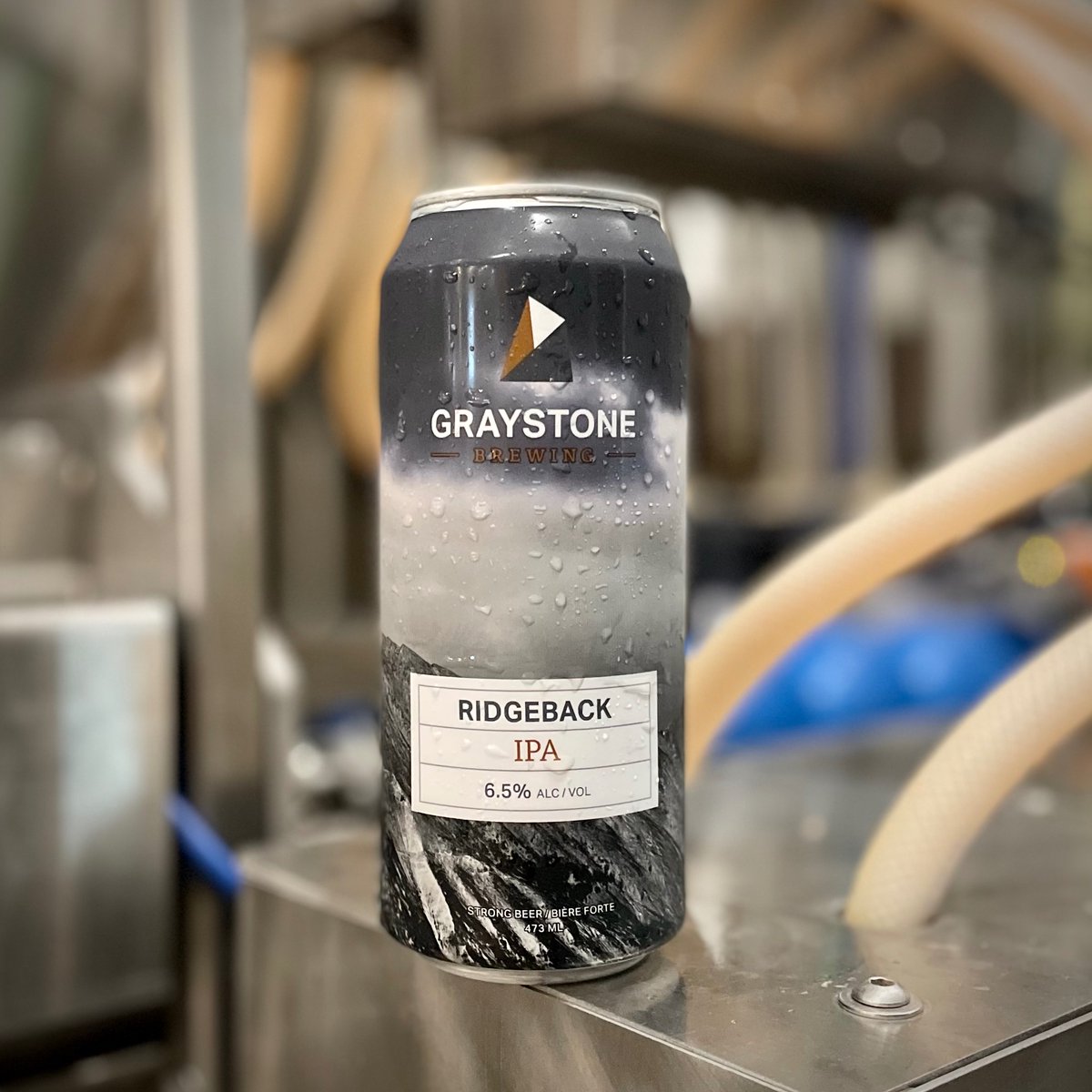 Ridgeback IPA is back! Available now at ANBL locations and the Graystone Brewing taphouse. This West Coast heavy-hitter packs a hop-forward punch, think bold pine and citrus vibes with a crisp, clean finish. Full-bodied, bitter, and brimming with West Coast soul.
6.5% | 72 IBU